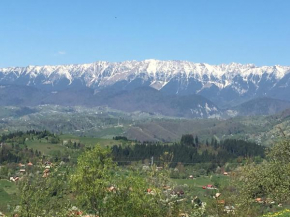 Casa de la Bran, Bran